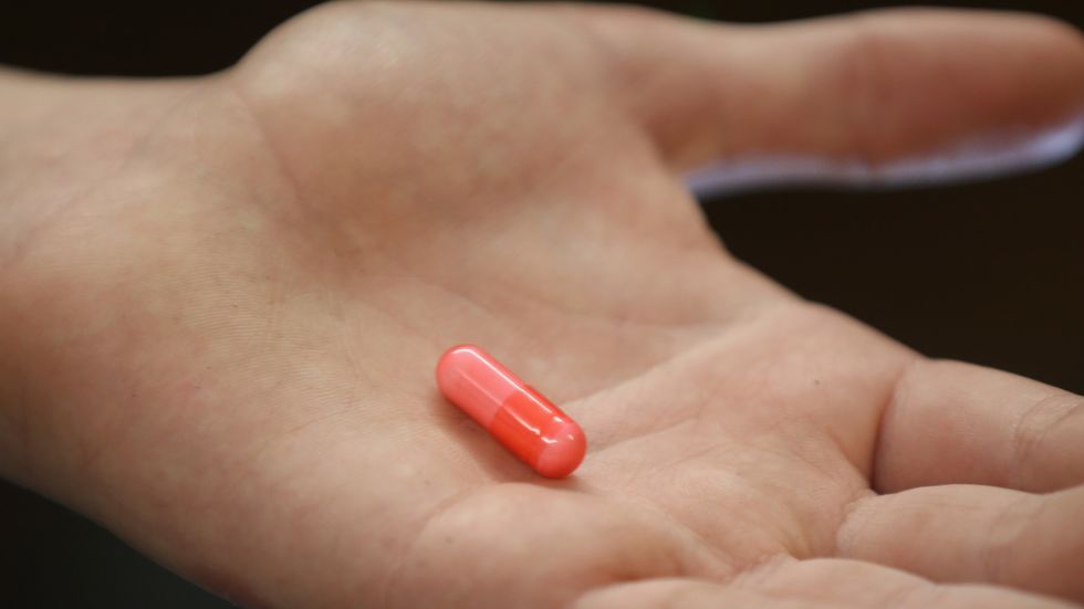 Antibiotics inhibit growth of new brain cells, researchers say