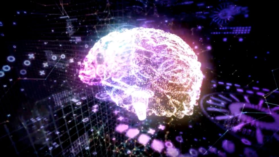 The connected brain