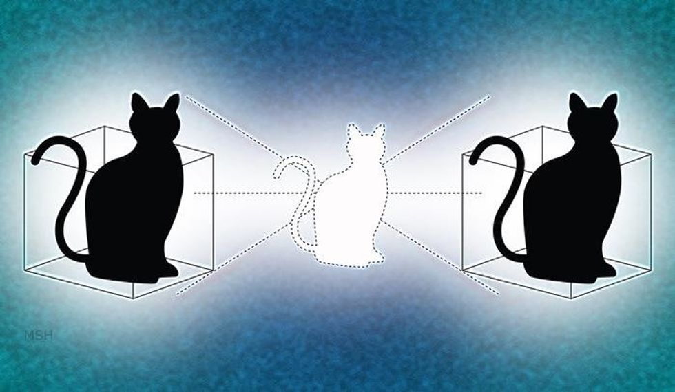 Spooky Quantum Cats