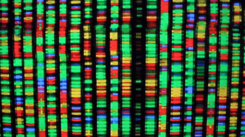 A colorful representation of DNA