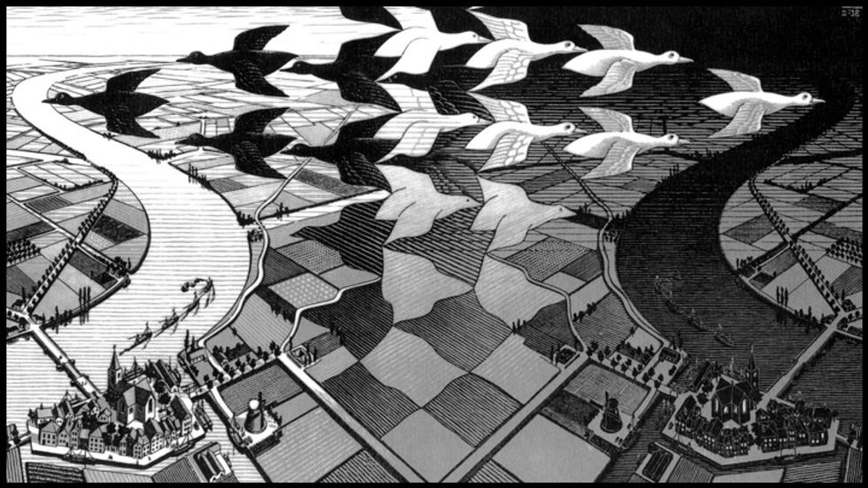 Birds in the Escher dimension