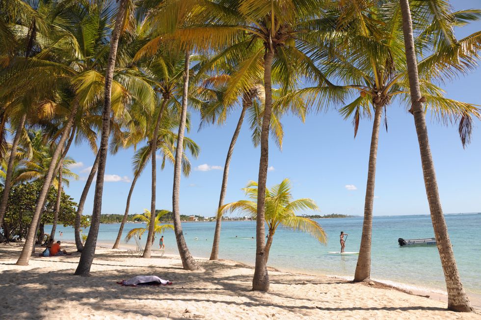 Want Happiness? Buy Experiences, Not Things, Says a Cornell Psychologist