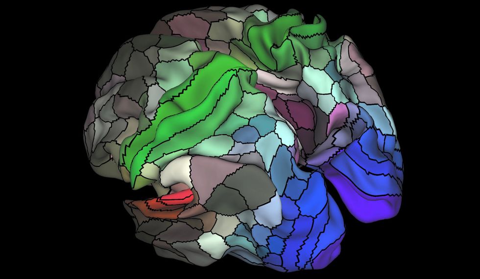 The New Map of the Brain