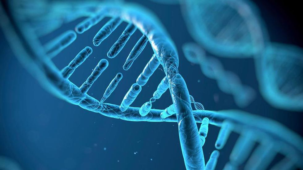 How Genetic Engineering Will Change Our Lives