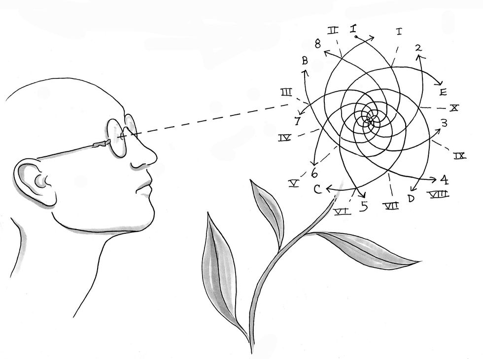 Illustration by Julia Suits, author of The Extraordinary Catalog of Peculiar Inventions, and The New Yorker cartoonist.