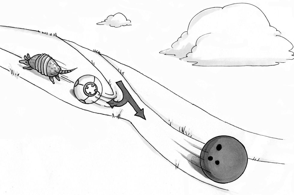 What Would "Free Will" Need To Work? At Least These 3 Steps...