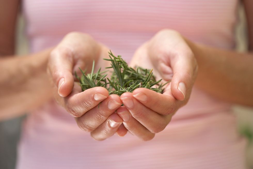 A woman holding rosemary.
