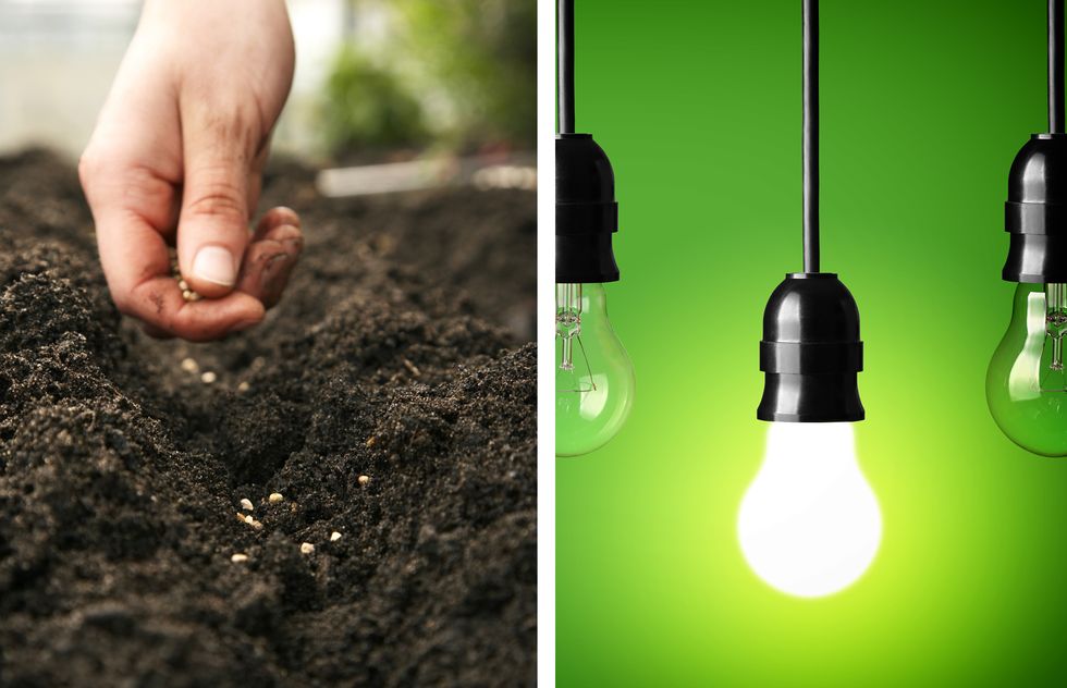 A hand planting a seed, versus an illuminated light bulb.