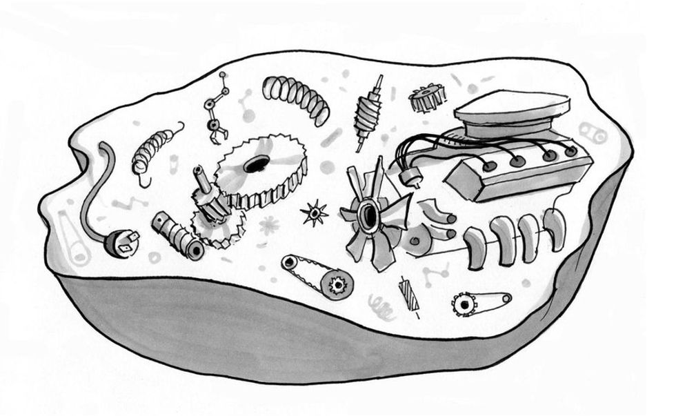 Illustration by Julia Suits, author of The Extraordinary Catalog of Peculiar Inventions, and The New Yorker cartoonist.