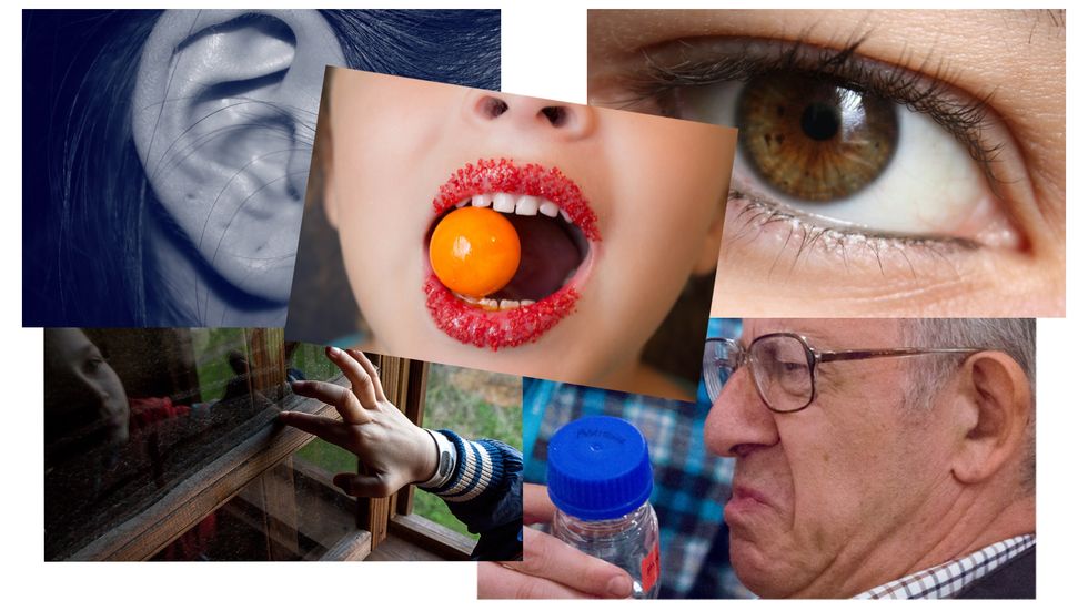 Moving Beyond The Traditional 5 Human Senses - Big Think