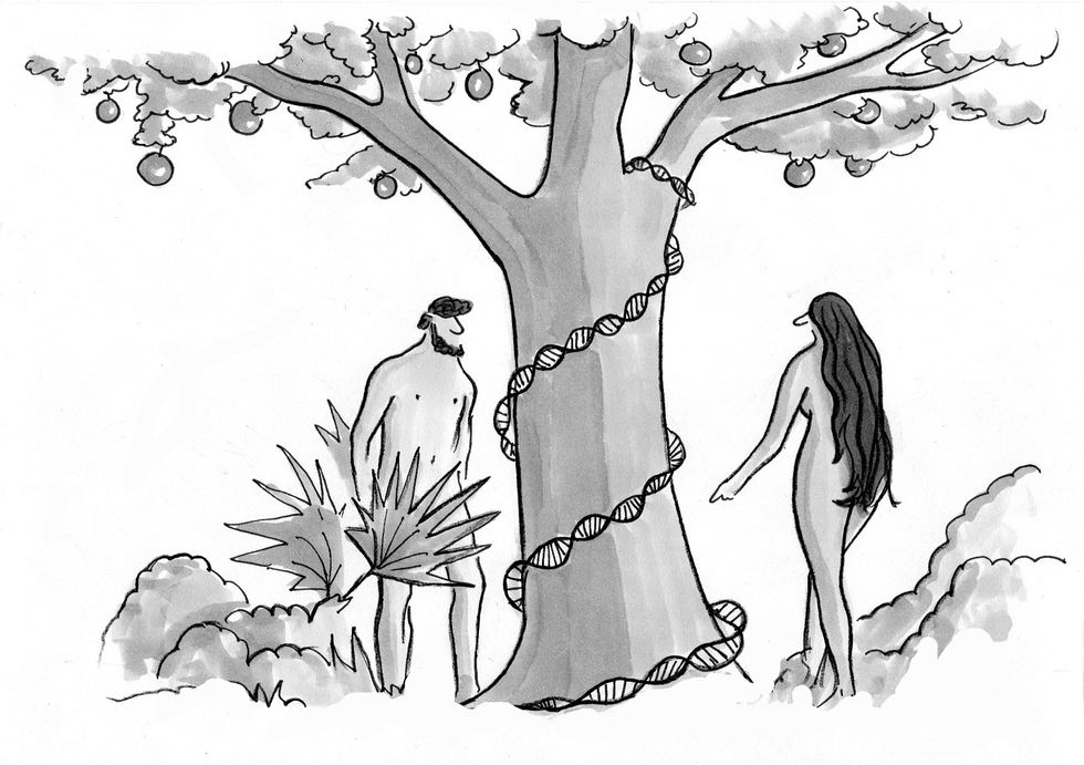 Hidden Logic of Genes In Genesis?