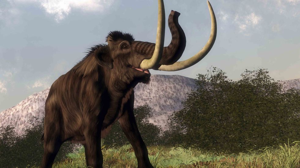 Three-dimensional render of a woolly mammoth. (Credit: Shutterstock)