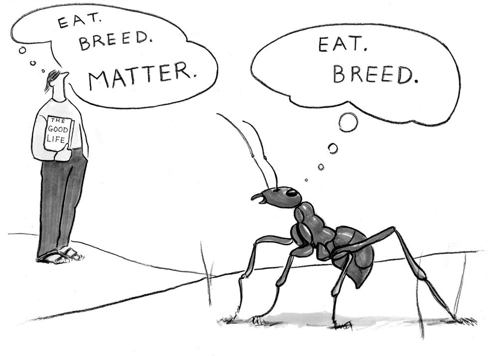 The Real Story of What Got Us to the Top of the Food Chain