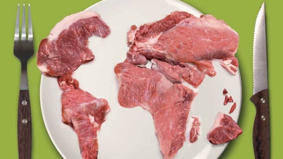 Raw Data from the Meat Atlas