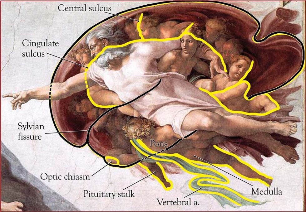 Did Michelangelo Hide Secret Messages in the Sistine Chapel’s Ceiling