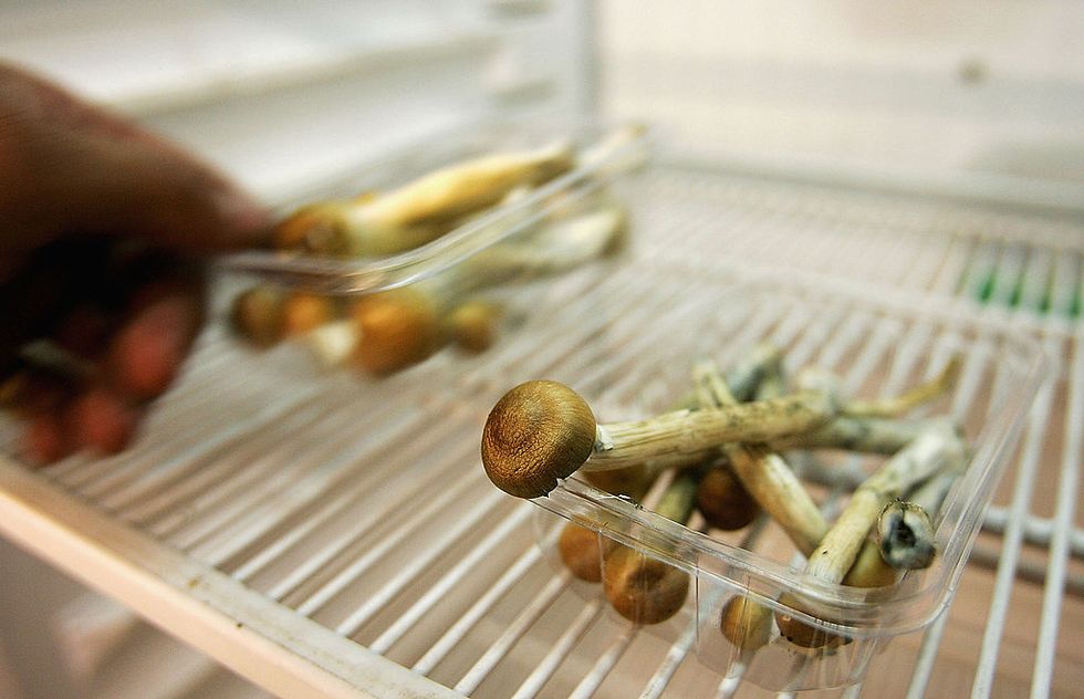 MDMA and Psilocybin: The Future of Anxiety Medication?