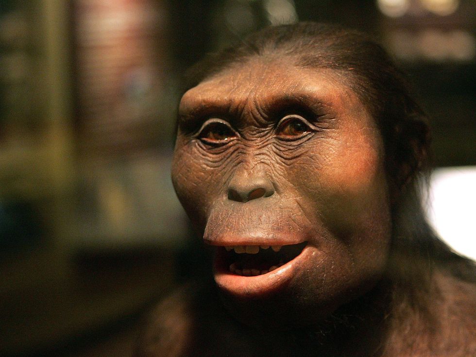 Lucy exhibit.