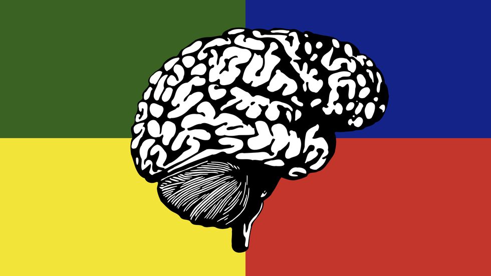 the brain