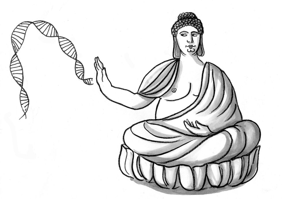 Illustration by Julia Suits, The New Yorker cartoonist & author of The Extraordinary Catalog of Peculiar Inventions