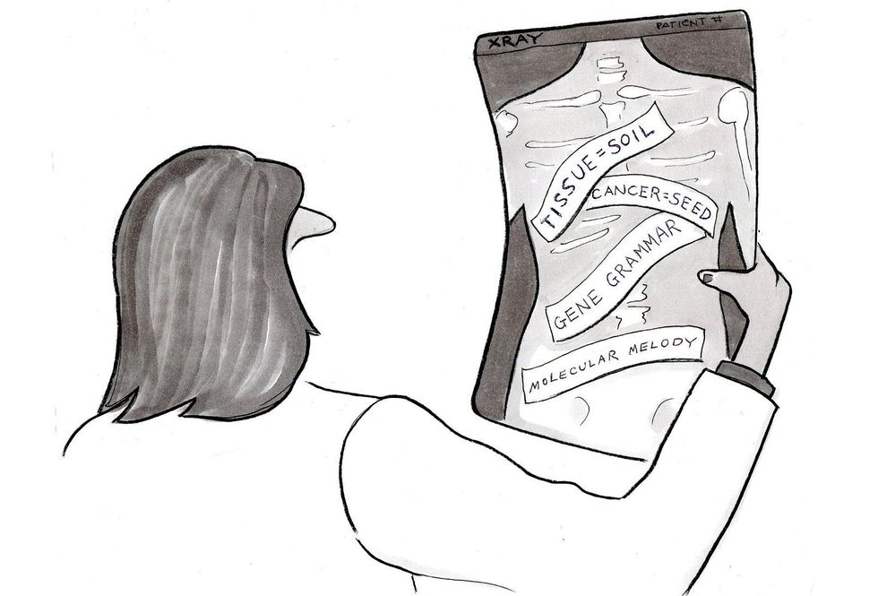Illustration by Julia Suits, The New Yorker cartoonist & author of The Extraordinary Catalog of Peculiar Inventions