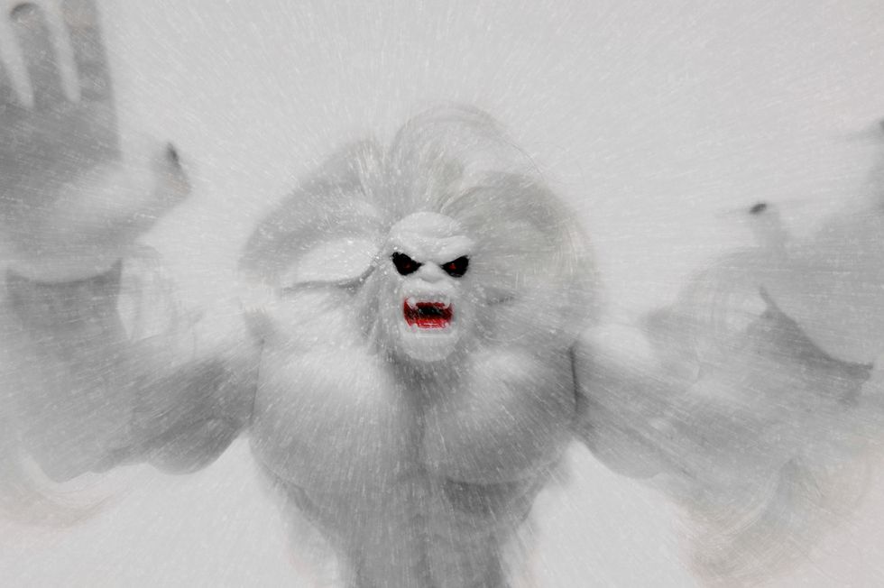 Yeti image.