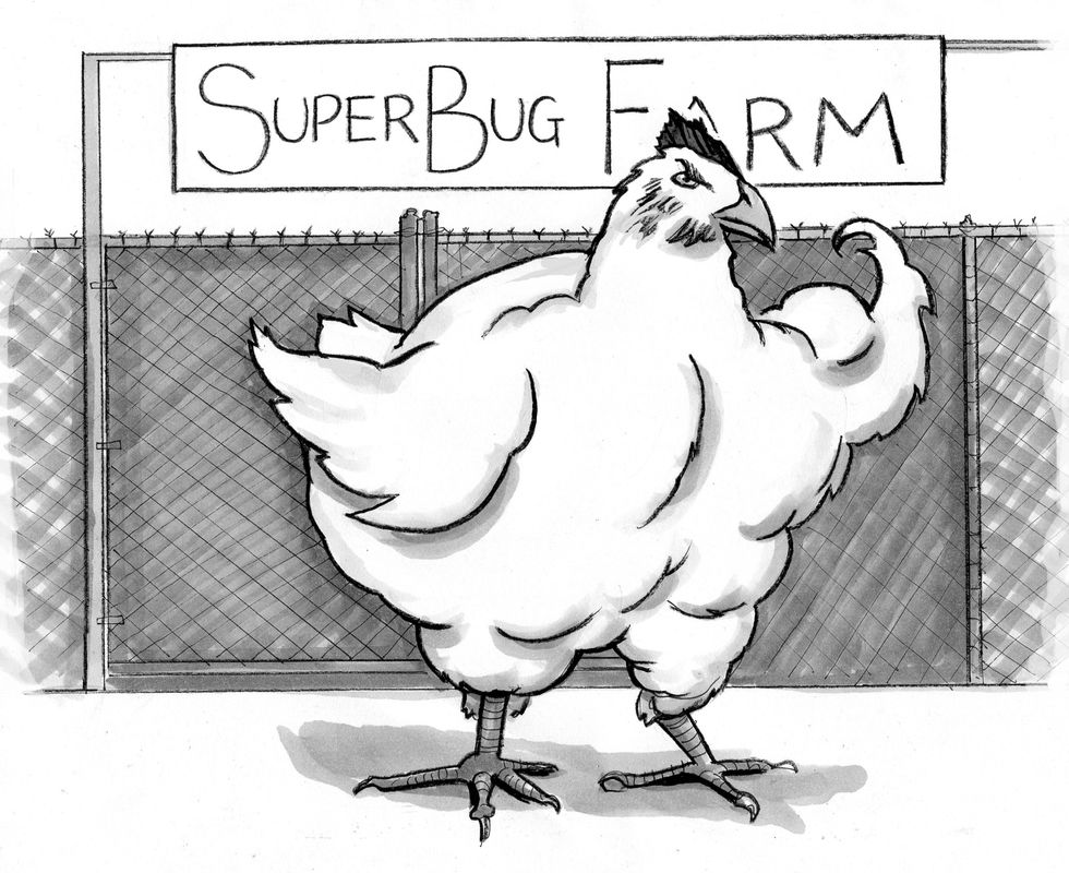 Illustration by Julia Suits, The New Yorker cartoonist & author of The Extraordinary Catalog of Peculiar Inventions