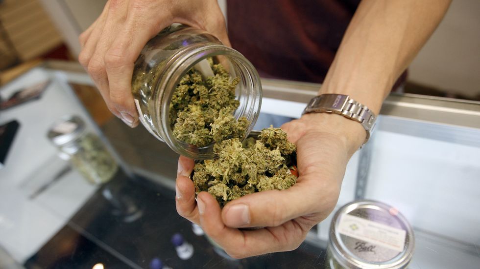Budtender pours marijuana from jar
