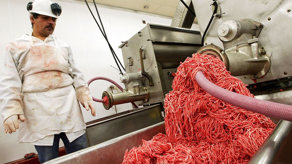 An unidentified worker monitors a meat grinding machine as it grinds beef at Ray's Wholesale Meats in Yakima, Washington. U.S. (Photo: Justin Sullivan/Getty Images)