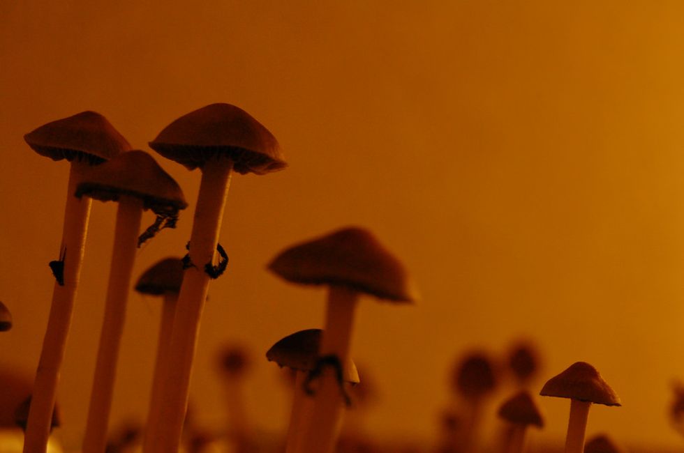 It's time to integrate psychedelics into therapy
