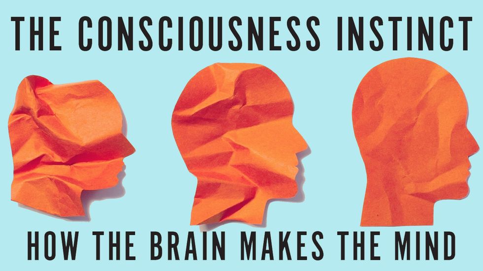 Cover image of The Consciousness Instinct by Michael S. Gazzaniga