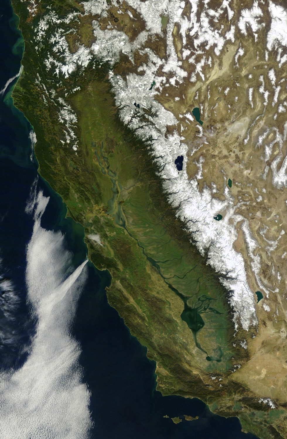 california satellite