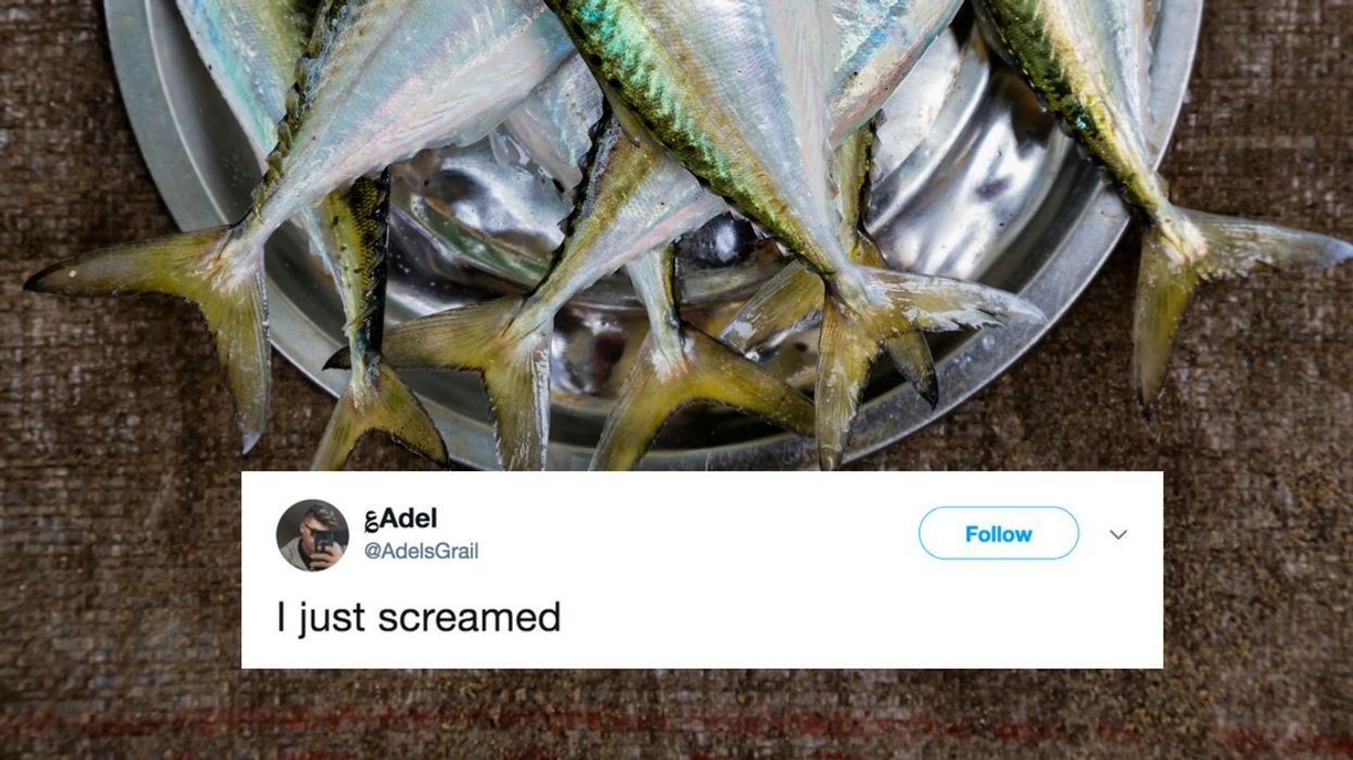 Store Caught Going To Laughable Lengths To Make Their Fish Look Fresher 😮