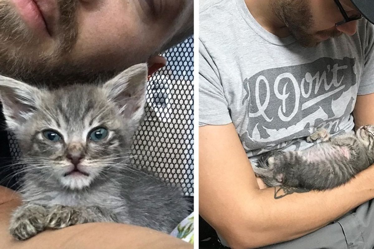 Kitten, Less Than Half the Size for His Age, Starts to Grow When He Finds Love
