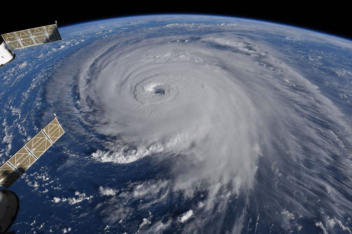 Hurricane Roundup: Rush Limbaugh, Toxic Stormy Pig Doots, And Didn't North Carolina Declare Sea Level Rise Illegal?
