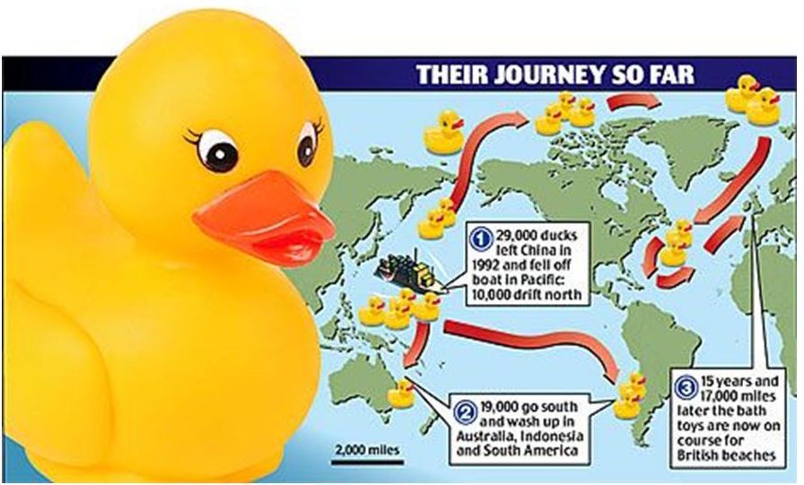 rubber ducks from around the world