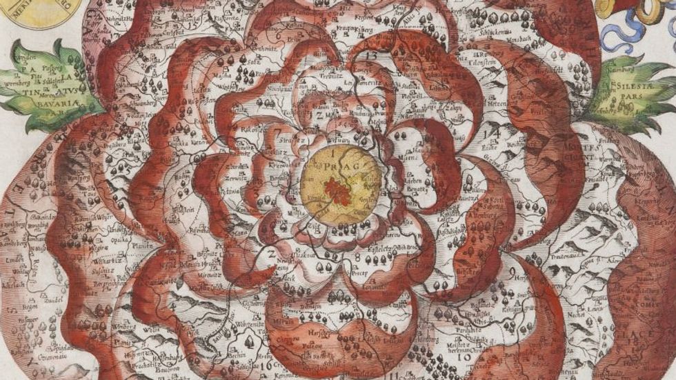 The Rose of Bohemia, the Power Flower of Cartography