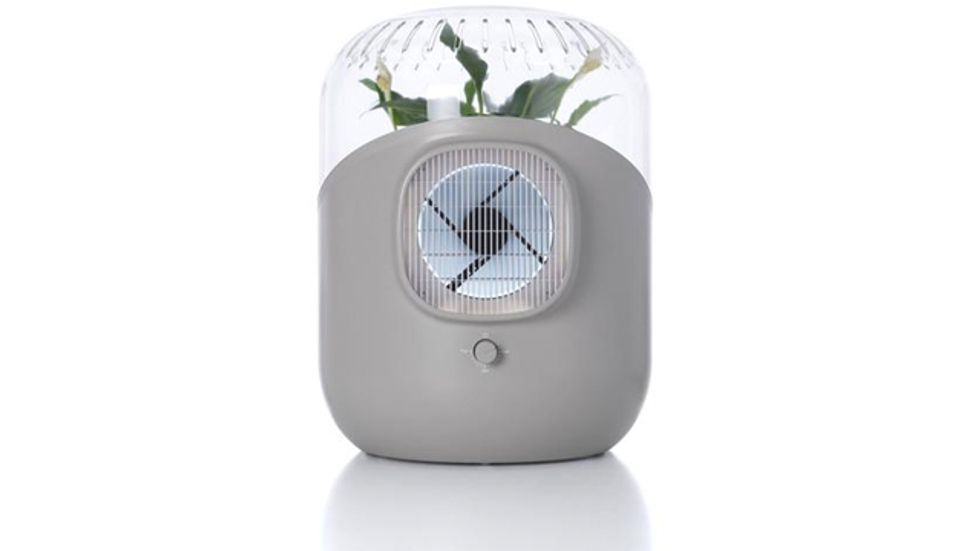 ANDREA Air: Turn Any Plant into a Powerful Air Purifier