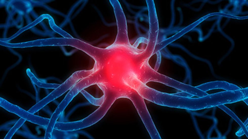 Speak, Memory: Language and the Brain