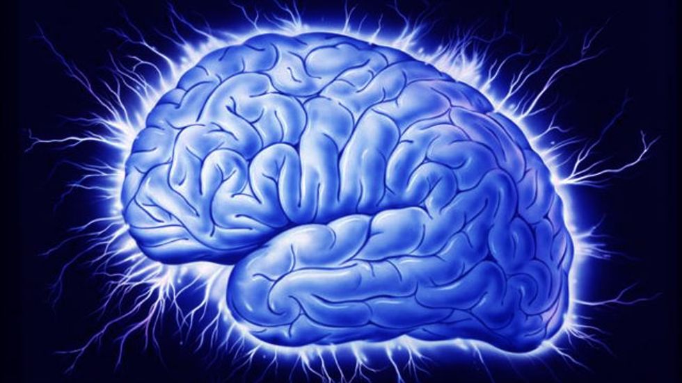 Mapping the Brain (The Human Connectome)