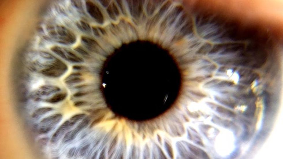 Biometrics Goes Mainstream
