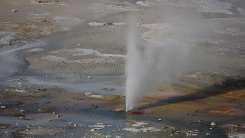 Yellowstone addendum: When credibility counts