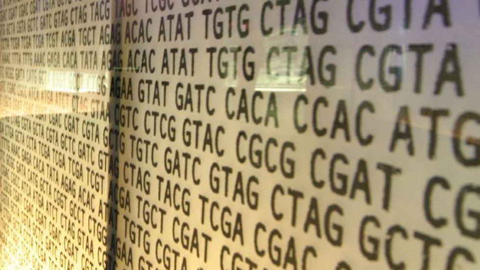 The 98% of Our DNA Formerly Thought of as “Junk” Is Alive