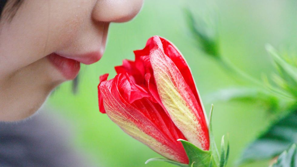 Sniffing Out A Thousand Dimensions of Smell
