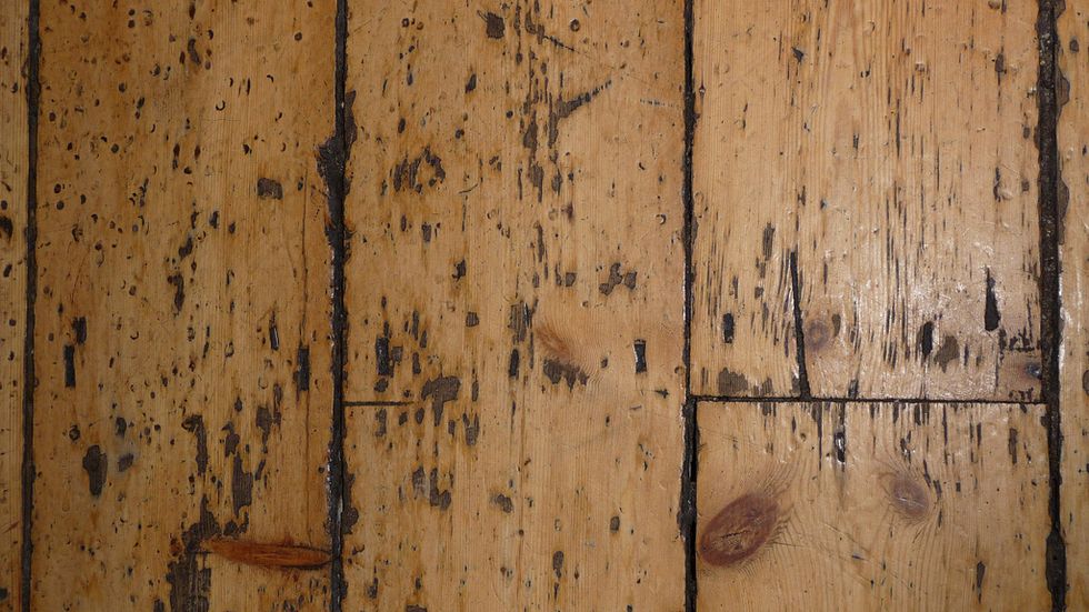 Under the Floor - A Fortune in Coins