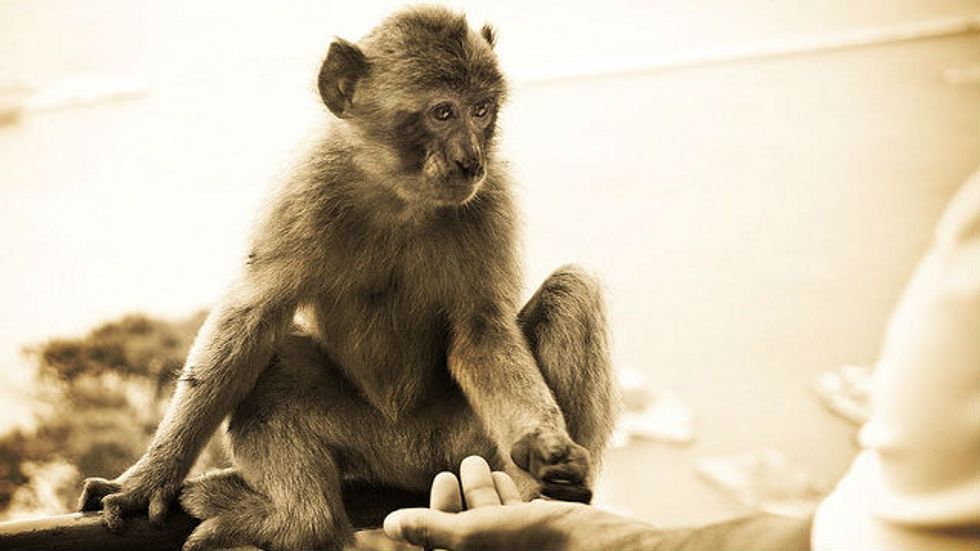 A Little Touch Goes a Long Way: How Touch Influences Perception and Choice