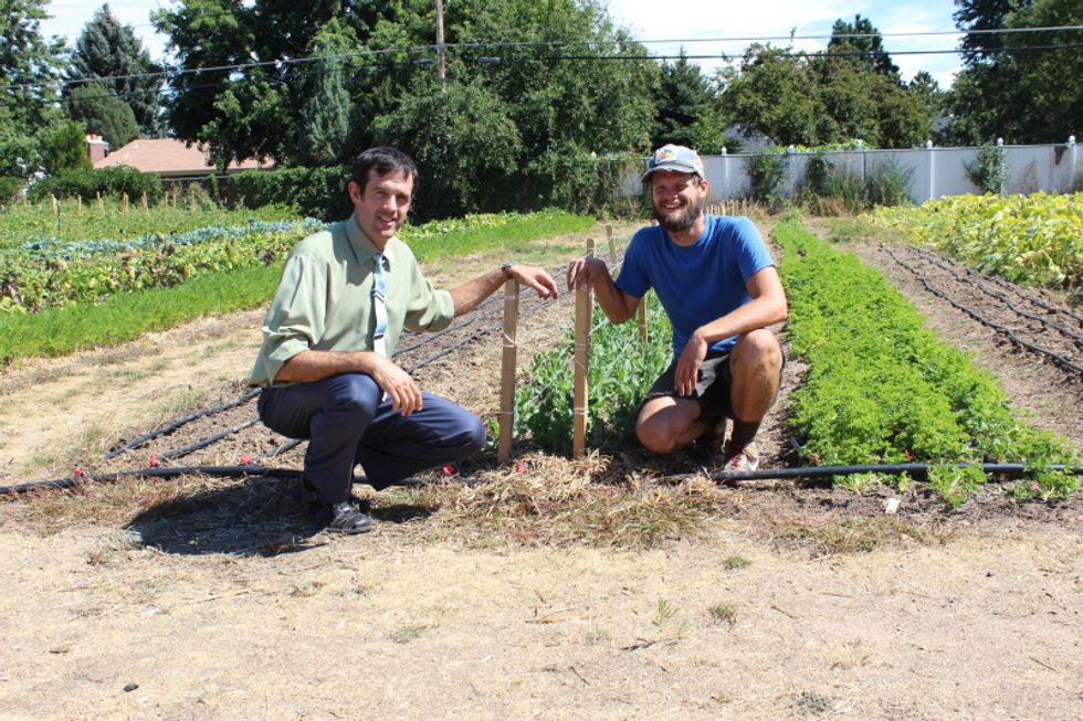 Denver Green School seeds new innovation – growing their own food