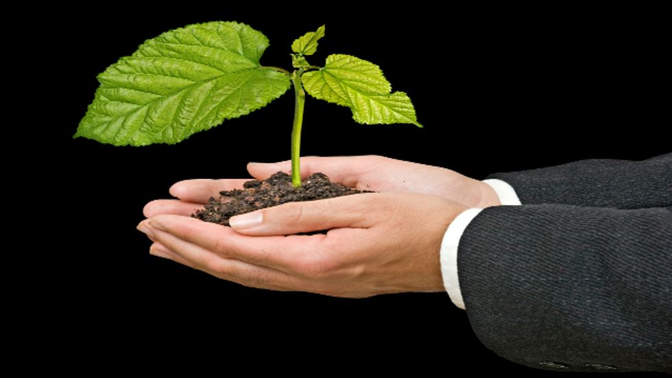 Bedfellows in Green: Big Business and the Environment