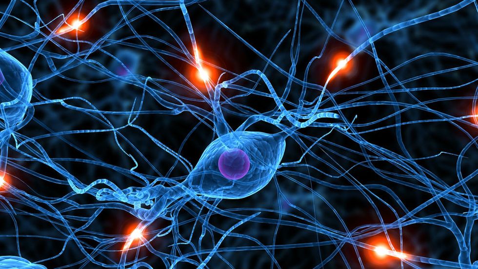 The Electronic Brain? Your Mind Vs. a Computer