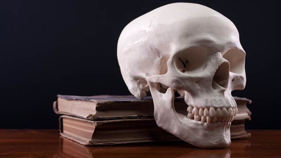 Life's Too Short: How to Read the Right Books