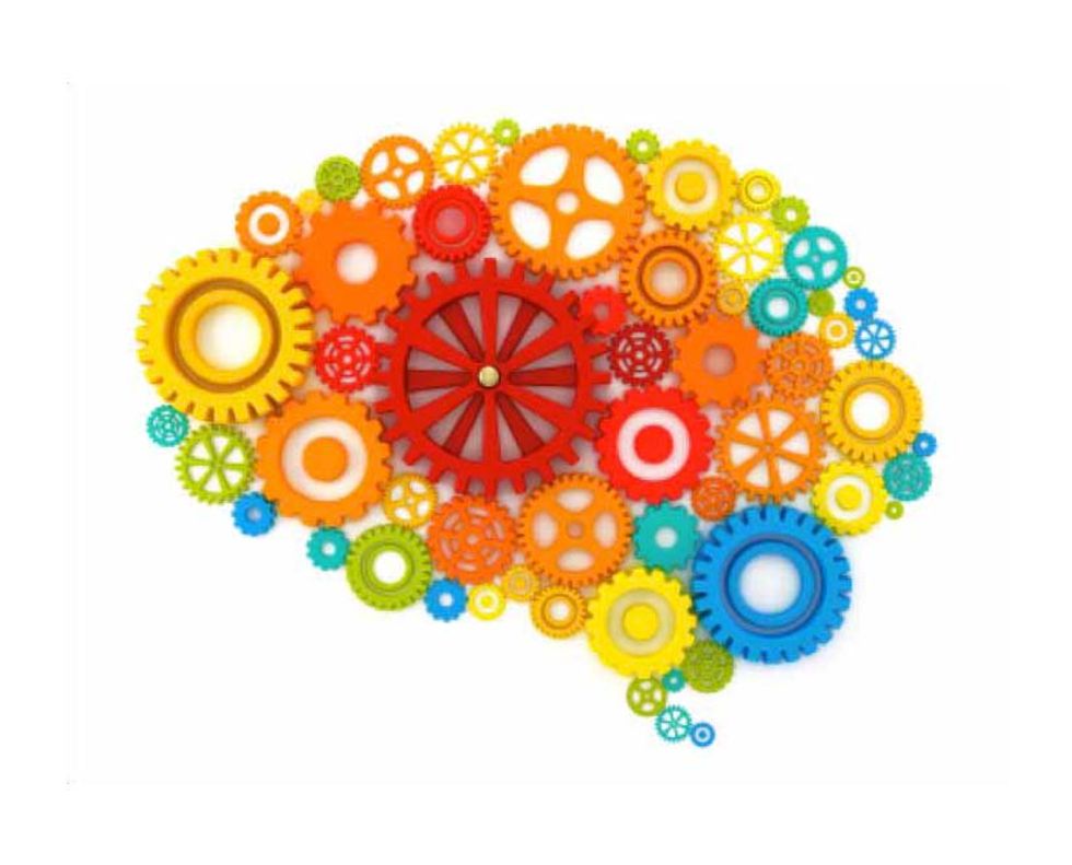 Brain Think: Pay Attention, Be Vigilant, Stay on Task, Pay Attention.